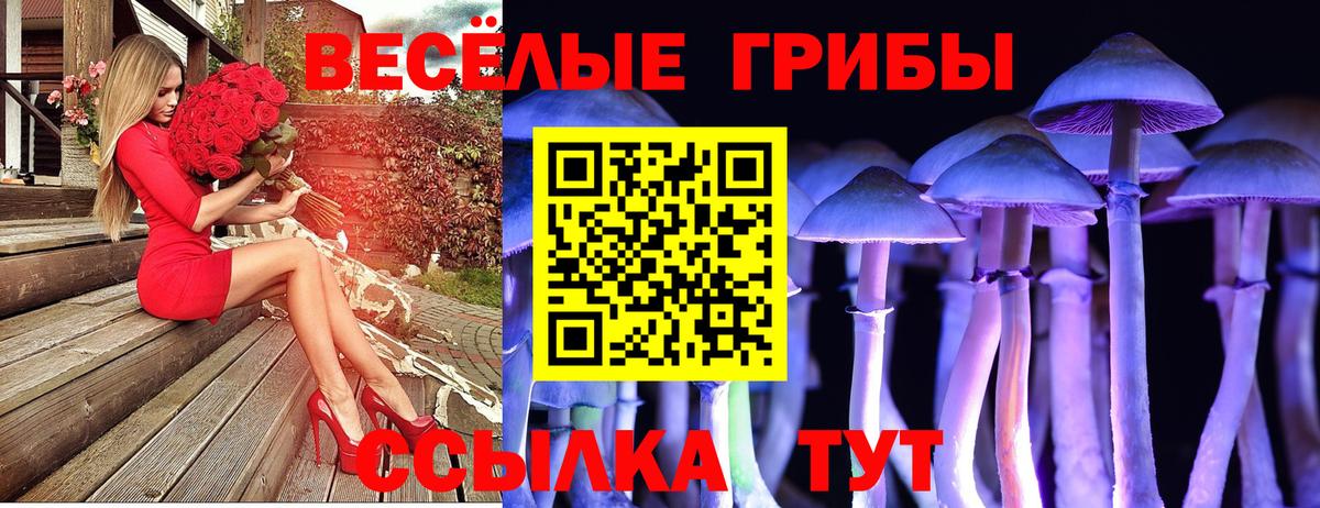 Псилоцибиновые грибы Cubensis  Вход с VPN  Галлюциногенные грибы MAGIC MUSHROOMS  Звенигород 